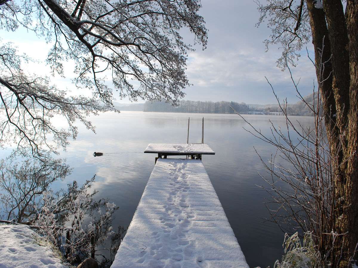 stocksee-natur-athmosphaere-bootssteg-ente-winter-schnee