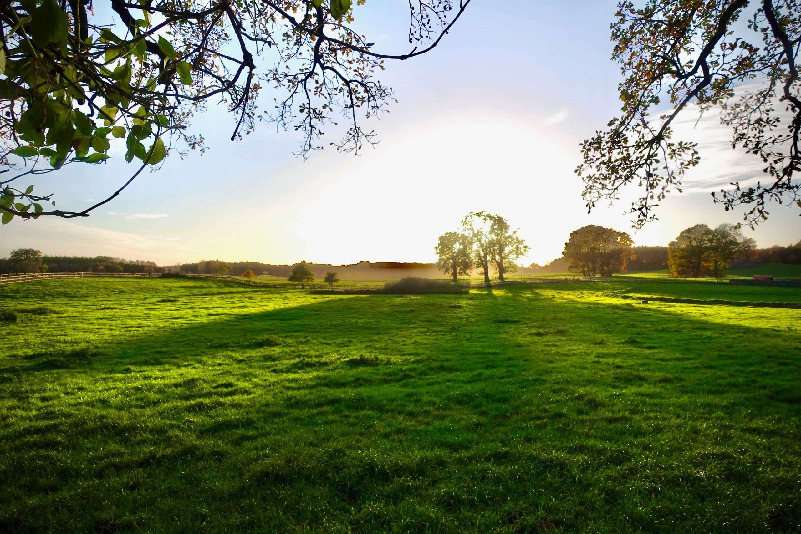 schleswig-holstein-umgebung-binnenland-gut-nehmten-wanderweg